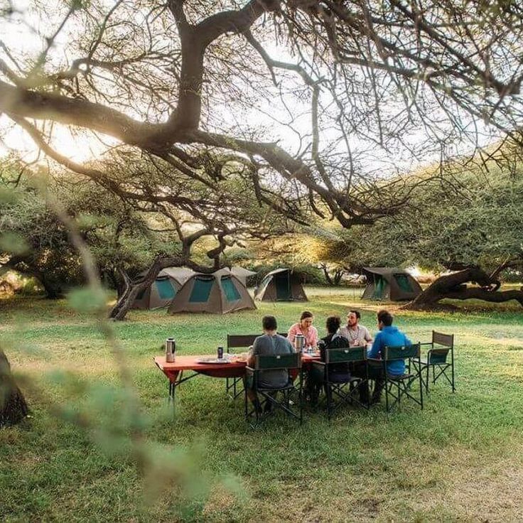 Luxury safari lodges in Serengeti and Ngorongoro with premium amenities